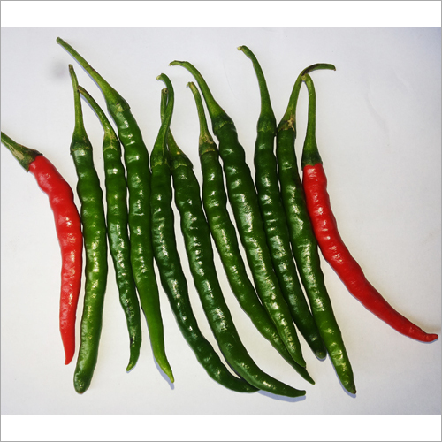 Organic F1 Hybrid Lawnya Shri 50 Chilli Seeds