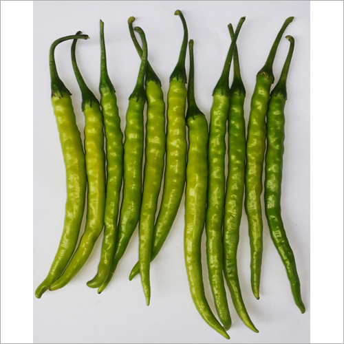 Organic F1 Hybrid Gauri Chilli Seeds