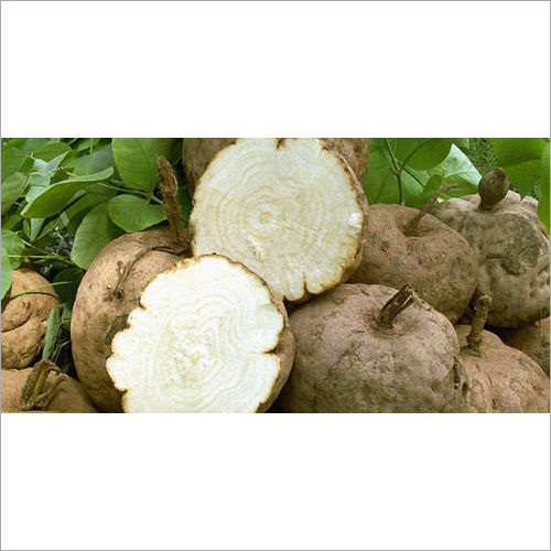 Pueraria Mirifica Extract