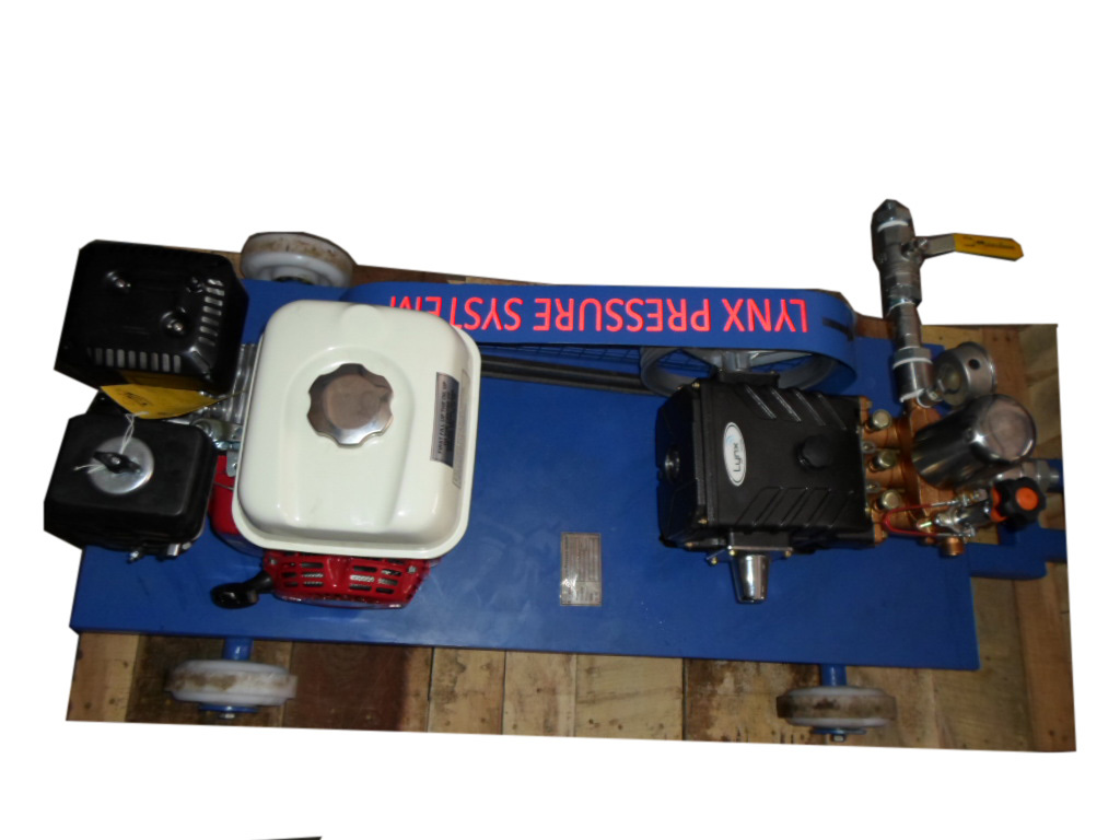 Portable Car Washer Pressure Pump