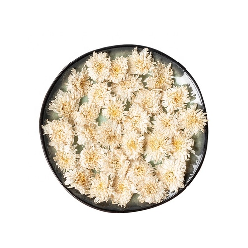 Exporter Huangshan Tribute Chrysanthemum Flower Tea Blooming Flower Herbs