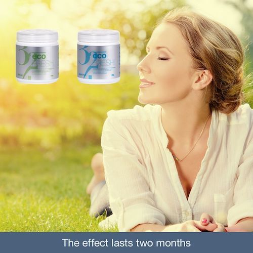 Eco Fresh Air Deodorant Purifying Gel By SBMplus Co., Ltd.