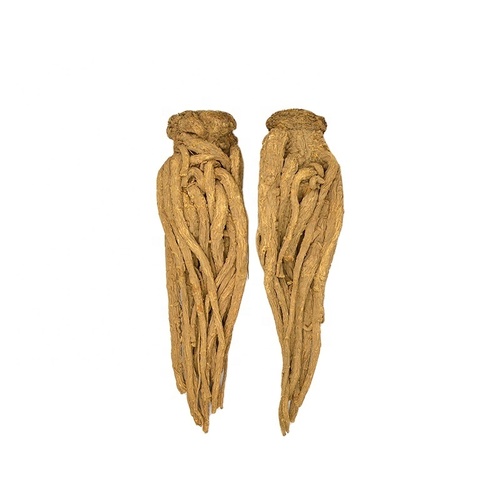 dried herbs angelica sinensis dang gui for activating blood circulation