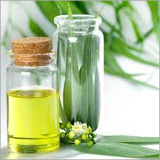 Eucaliptus Oil