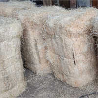 Wood Wool Air Cooler Cooling Pad