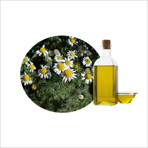 Chamomile Essential Oil By FLORAEXIM