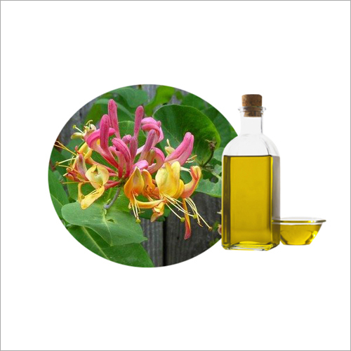 Honeysuckle Essential Oil By FLORAEXIM