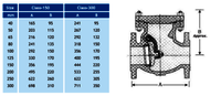 Swing Check Valve