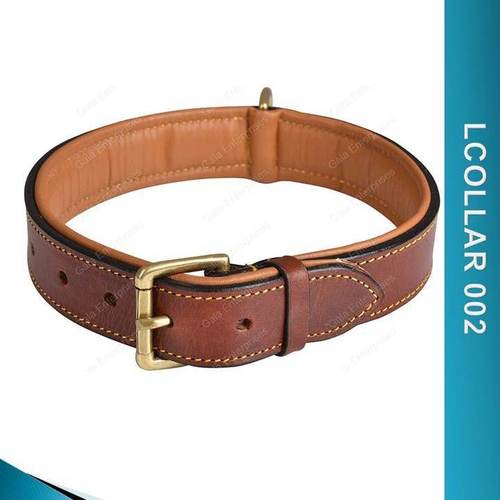Brown Padded Dog Collar