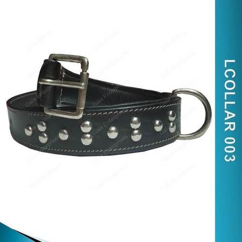 Pitbull Dog Collar Application: Cats