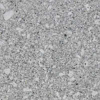 Indian P White Granite Slabs