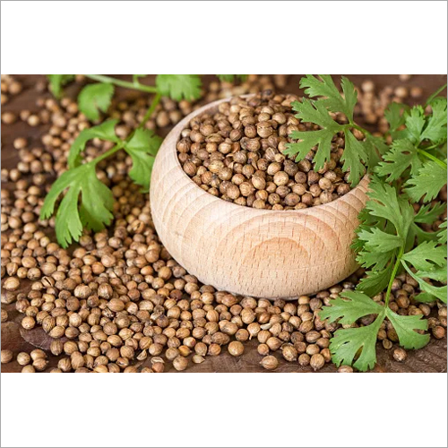 Coriander Seed