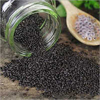 Basil Seed