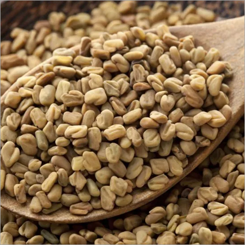 Fenugreek Seed