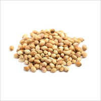 Coriander Seed