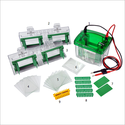 Vertical Gel Electrophoresis System