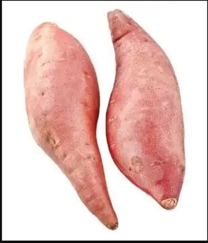 Sweet Potato