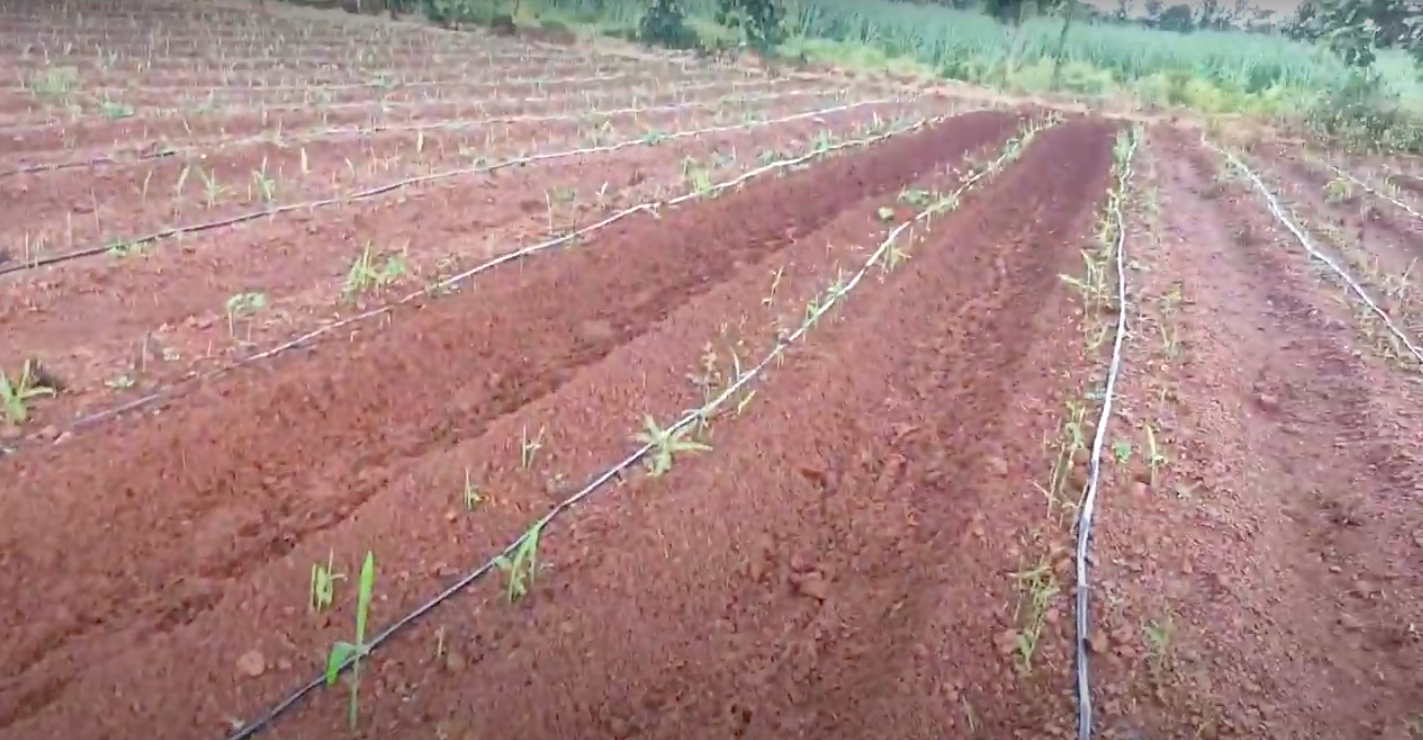 Kisankraft Power Weeder 406d, Diesel Engine 9 Hp, 4 Stroke