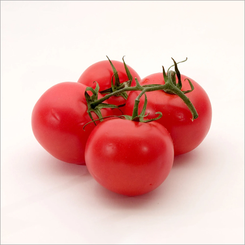 Fresh Tomato