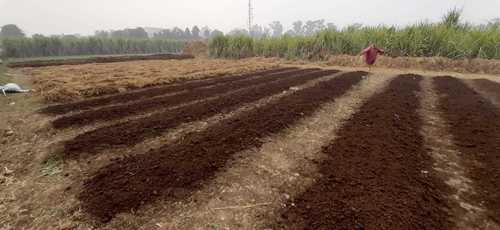 Agriculture Vermicompost Granular