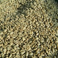 Red Split Lentils