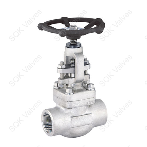 A182 F316L Stainless Steel Globe Valve