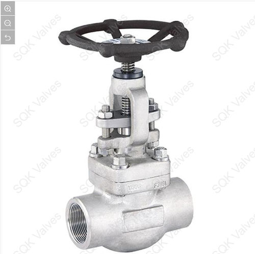 SQK A182 F316L Stainless Steel Gate Valve