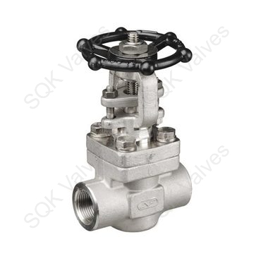 SQK A182 F321 Stainless Steel Gate Valve