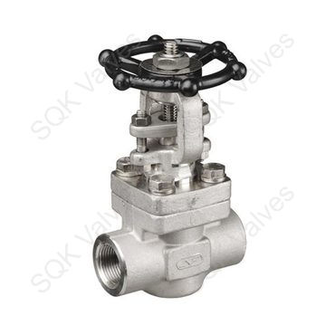 SQK A182 F321H Stainless Steel Gate Valve