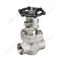 SQK A182 F321H Stainless Steel Gate Valve