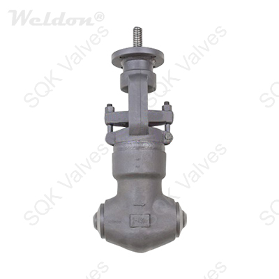 SQK Gate Valve Class 4500