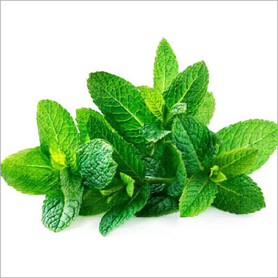 Mint Leaves