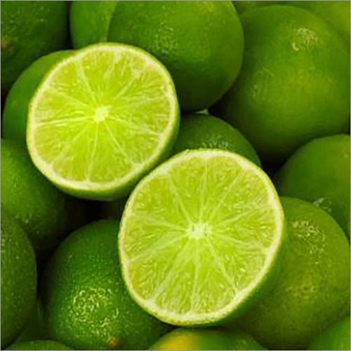 Fresh Green Lemon By KIM NGHIA CO,.LTD