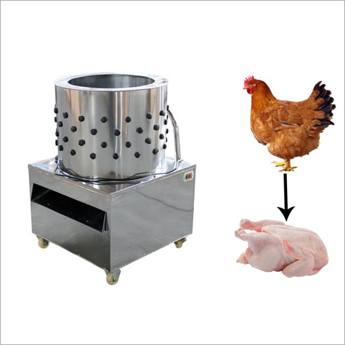 Chicken Feather Machine - Stainless Steel, 100X80X120Cm | 50 Birds/Hour Capacity, Durable Design, Easy Operation, Efficient Plucking, Fast Cleaning, Improved Hygiene, Increased Output, 1.5Hp Motor
