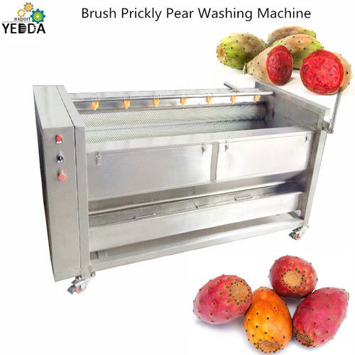 Brush Prickly Pear Washing Cleaning Machine