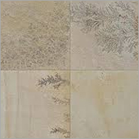 Fossil Sandstone