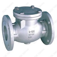 A182 F51 Duplex Stainless Steel Swing Check Valve