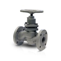 Piston Valve By Design
