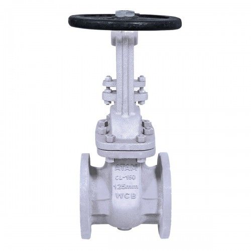 C.S.S. Gate Valve