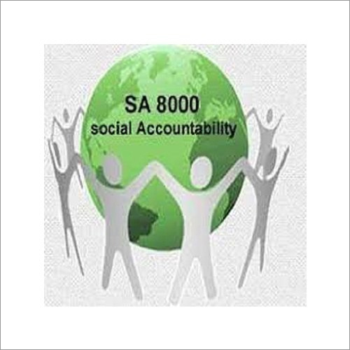 SA 8000 Consultant Service