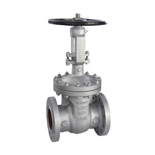 C.C.S. Gate Valve, Class-300