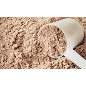 Protein Powder Shelf Life: 18 Months