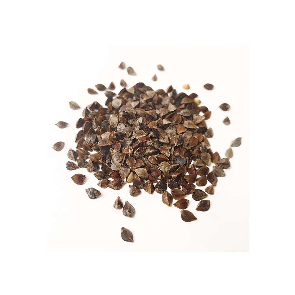 Buckwheat Seeds