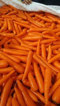 Egypian Fresh Carrots