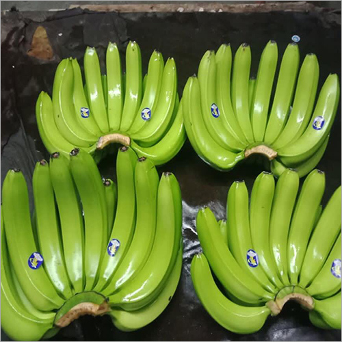 Green Cavendish Banana By IMB EXPORT