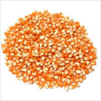 Yellow Maize - 50 Kg Pp Bag, Natural Material, High Purity, Maximum Moisture 14%