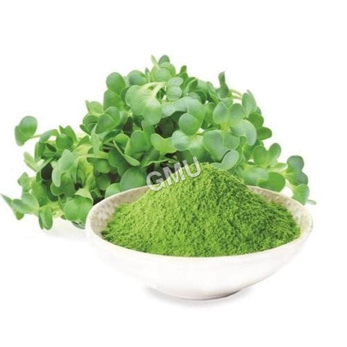 alfalfa leaf powder