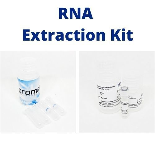 RNA Extraction Kit Covid 19 SPIN COLUMN