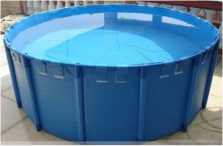 Blue Fish Tank