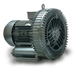 Ring Blower Pump Design Type: Standard